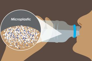 micro plastics